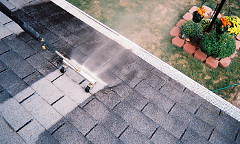 Roof Cleaning in Memphis TN Roof Cleaning Services in Memphis TN Roof Cleaning in TN Memphis Clean the roof in Memphis TN Roof Cleaner in Memphis TN Roof Cleaner in TN Memphis Quality Roof Cleaning in Memphis TN Quality Roof Cleaning in TN Memphis Professional Roof Cleaning in Memphis TN Professional Roof Cleaning in TN Memphis Roof Services in Memphis TN Roof Services in TN Memphis Roofing in Memphis TN Roofing in TN Memphis Clean the roof in Memphis TN Cheap Roof Cleaning in Memphis TN Cheap Roof Cleaning in TN Memphis Estimates on Roof Cleaning in Memphis TN Estimates in Roof Cleaning in TN Memphis Free Estimates in Roof Cleaning in Memphis TN Free Estimates in Roof Cleaning in TN Memphis